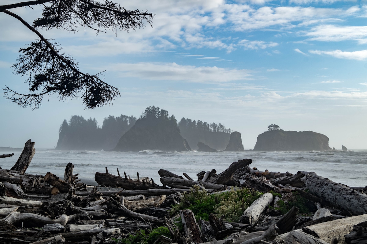rialto beach in olympic national park in washington state