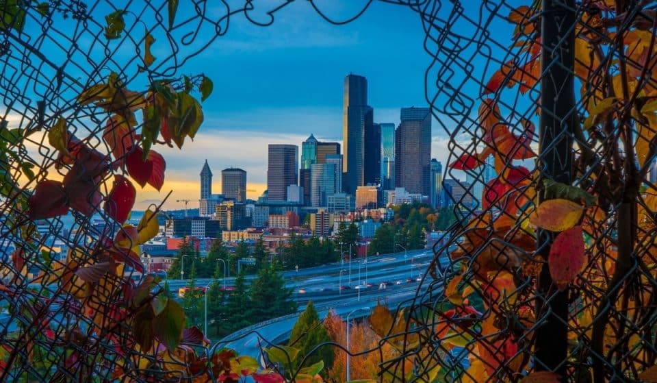 50 Fantastic And Frightful Things To Do In Seattle This October