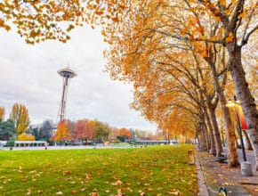 40 Bucket List Ideas For The Perfect Seattle Fall