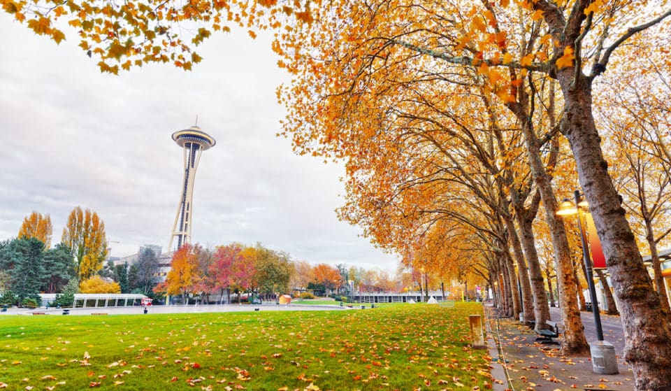 40 Bucket List Ideas For The Perfect Seattle Fall