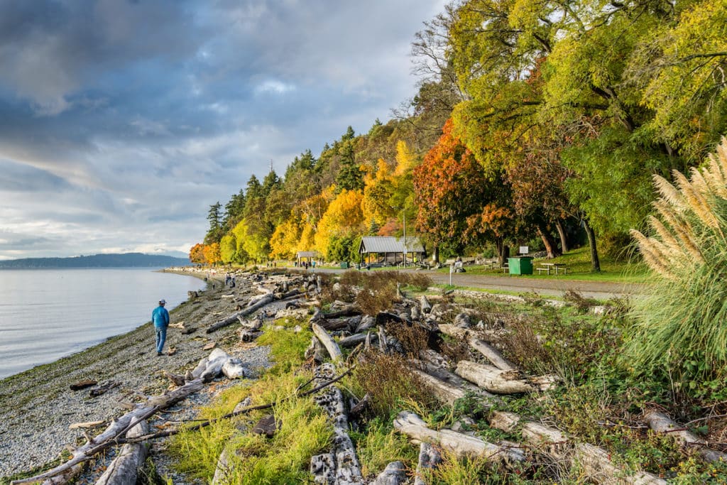 The Top 10 Places To See Fall Foliage In Seattle Secret Seattle