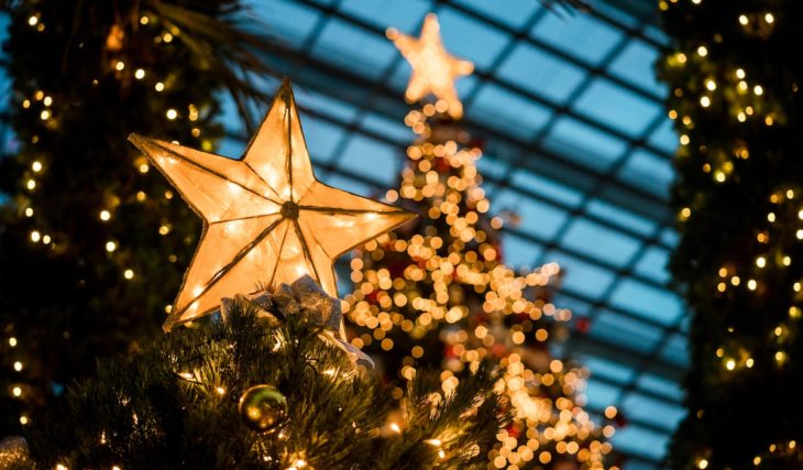 5 Stunning Holiday Tree Displays To See In Seattle This Winter
