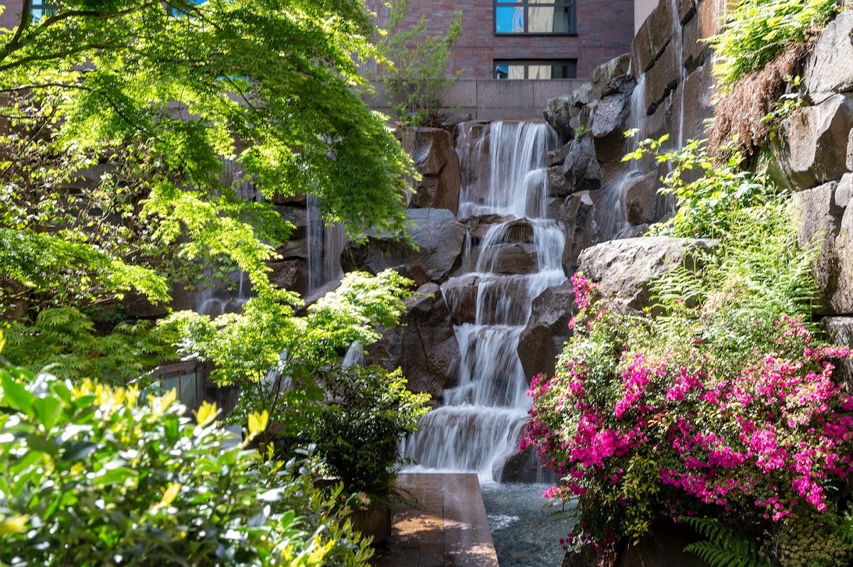 seattle waterfall garden