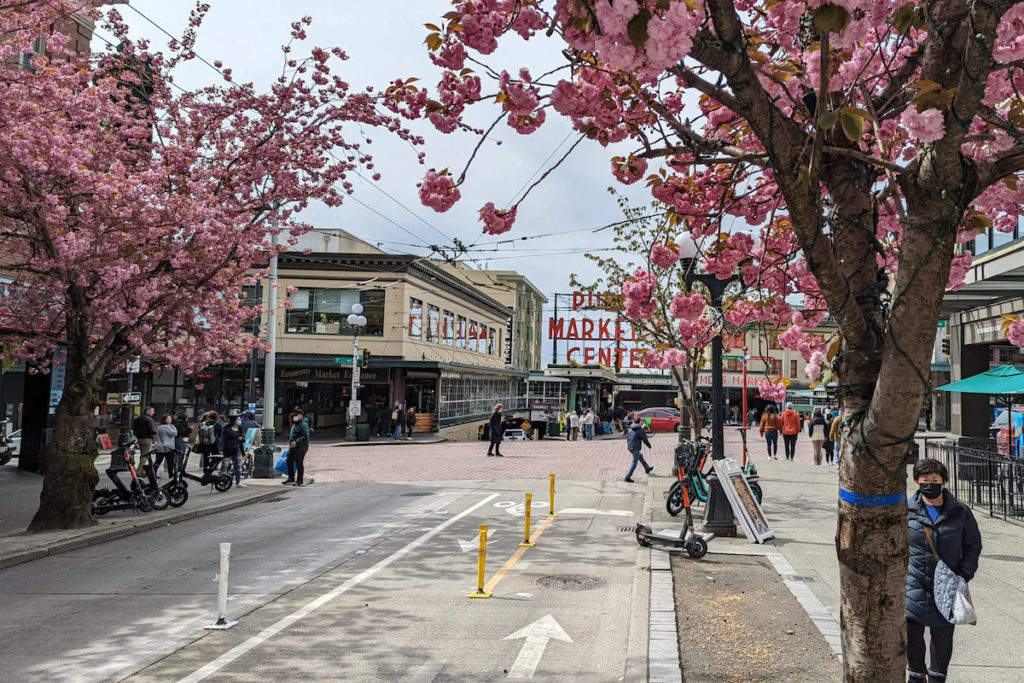 pike place market cherry trees
