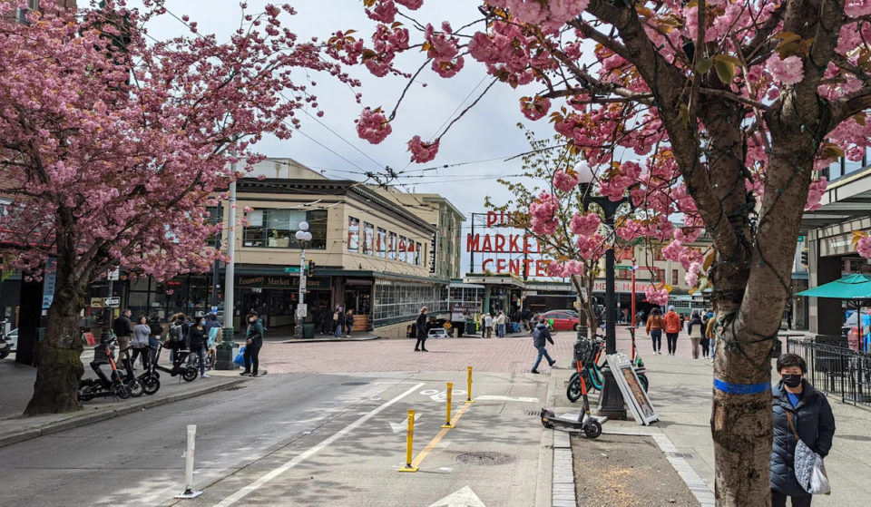 The Iconic Decades-Old Pike Place Market Cherry Trees Have Been Removed