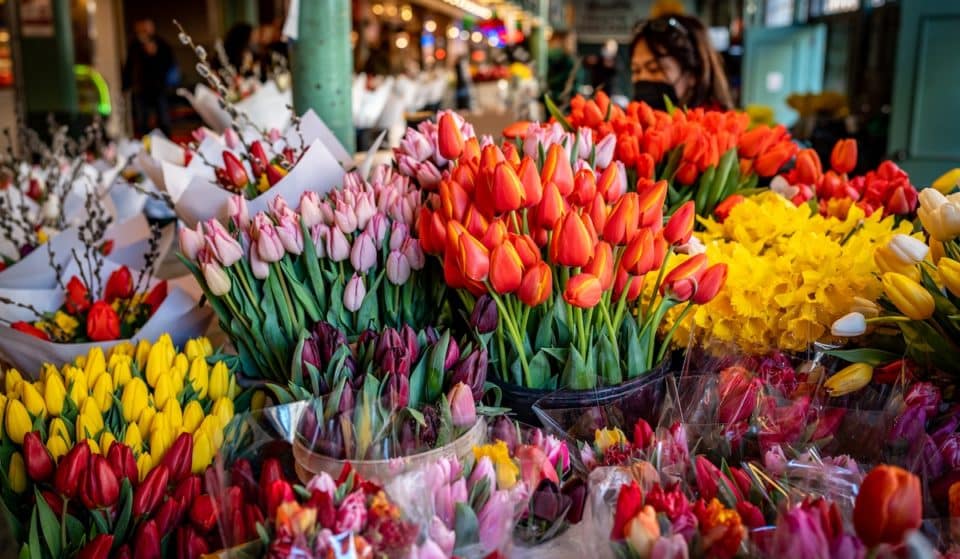 The Top 10 Reasons Why Locals Look Forward To Spring In Seattle