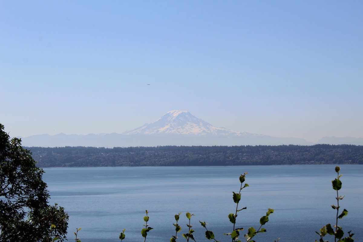 view of mount rainier from maury island in washington state